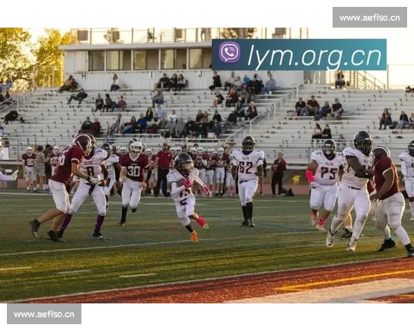 世界杯直播全程精彩呈现全球球迷热情共赏巅峰对决盛宴