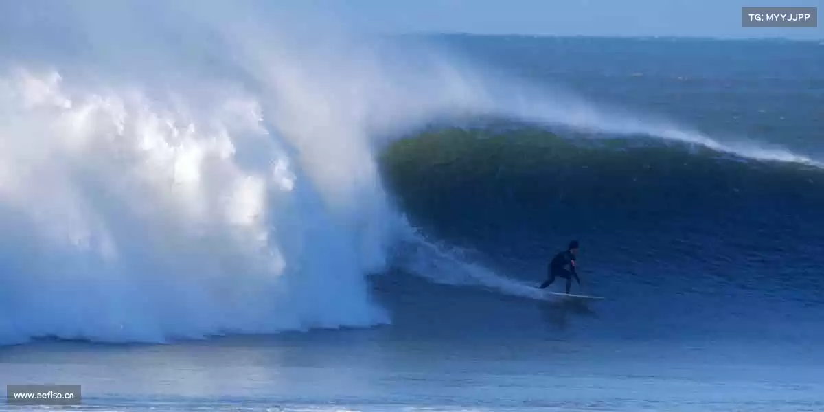 我们的品牌价值